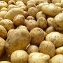 Беларусь вводит запрет на ввоз украинского картофеля