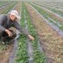 Начинающим фермерам в Крыму предложили возмещать 90% затрат