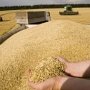У крымских аграриев возникают проблемы с экспортом зерна, – министр