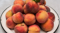 В Евпатории проведут ярмарку «Дни персика»