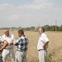 Аграрии убрали в Крыму 70% площадей зерновых культур