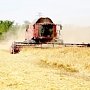 Крымские хлеборобы намолотили первый миллион тонн зерна