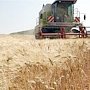 В Крыму урожайность зерновых составит 23 центнера с гектара