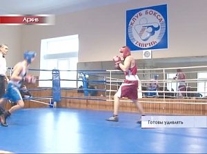 Крымские боксеры продолжают подготовку к ответственным турнирам