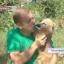 Более 20 носух обживают свой новый дом в крымском парке «Тайган»
