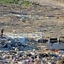 Крым предложили разделить на три мусорные зоны