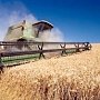 Азия отказались от крымской пшеницы – СМИ