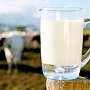 Молочную отрасль спасут кооперацией?