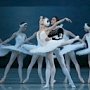 Театр «Русский балет» покажет в Крыму «Лебединое озеро»