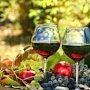 В Крыму до 1 сентября планируют разработать стратегию развития виноделия