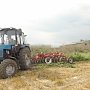 В Симферопольском районе уничтожено поле дикорастущей конопли