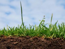 Федеральный агрохимический центр оценит плодородие крымских почв