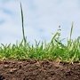 Федеральный агрохимический центр оценит плодородие крымских почв