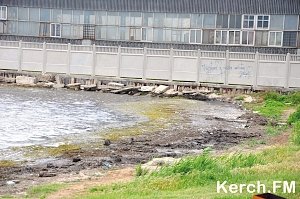 Для уборки травы и ила на пляжах в Керчи выделили 77 тыс. руб.