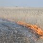 До конца недели в Крыму сохранится чрезвычайная пожарная опасность