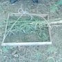 На западе Крыма во дворе у селянина нашли 92 куста конопли