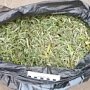 В машине жителя Севастополя нашли килограмм марихуаны