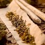 Крымских наркоманов лишили двух тысяч доз марихуаны