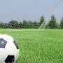 При поддержке партии «Родина» в Симферопольском районе создали сборную по футболу