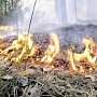 В Крыму ожидается чрезвычайная пожарная опасность