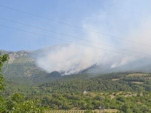 Ялтинский заповедник закрывает въезд из-за боязни пожаров