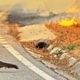 Пожарная опасность в Крыму сохранится ещё неделю