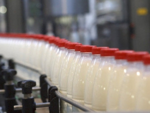 В Крыму требуется создать не менее 10 ферм для обеспечения молочной продукцией