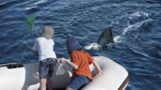 На западе Крыма детей в лодке унесло на восемь километров в море