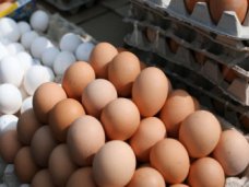В Крым не пустили три фуры с яйцами неизвестного происхождения