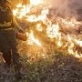 Пожарные в Крыму получили право тушить лесные пожары огнем
