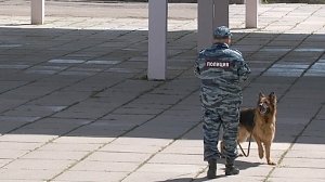 Накануне «Дня знаний» правоохранители Республики Крым проверили состояние безопасности учебных заведений