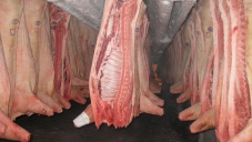 В Джанкое задержали перевозившиеся под видом сельди 22 тонны свинины