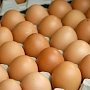 «Самовоспроизводящиеся» яйца не попали на крымские прилавки