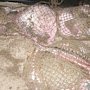 Браконьеру из Керчи дали 200 часов работ за тонну выловленной рыбы
