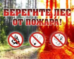 Берегите лес от пожара!