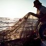 За вылов тонны промысловой рыбы в Керчи осужден браконьер