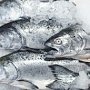 В Крым не пустили 70 тонн рыбы неизвестного происхождения