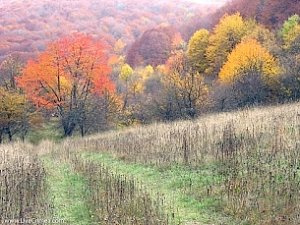 Прогноз погоды на неделю в Крыму