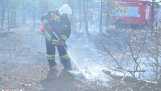 Губернатор Севастополя не исключил поджог местности вблизи города