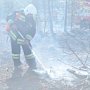 Губернатор Севастополя не исключил поджог местности вблизи города