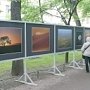 На выходных в Столице Крыма устроят уличную выставку картин и фоторабот