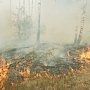 В Феодосии и Севастополе образовалась чрезвычайная пожароопасность