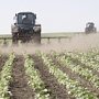 Сельское хозяйство в Крыму предложили развивать национализированными предприятиями