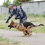 Пенитенциарным учреждениям Крыма передали 13 служебных собак