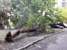 В МЧС пообещали устранить последствия непогоды в ближайшее время