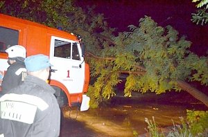 Всю ночь спасатели Севастополя убирали упавшие деревья