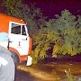 Всю ночь спасатели Севастополя убирали упавшие деревья