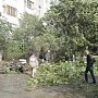 В Ялте устраняют последствия урагана