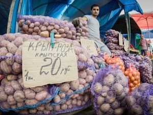 Не хватит своей картошки — привезем с континента