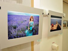 В Столице Крыма открылась фотовыставка, посвященная лету